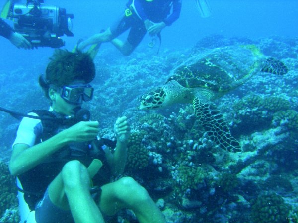 57- Romain donne du corail a la tortue 